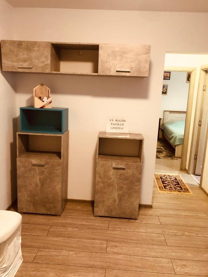 Apartament Mountain Loft Piatra Neamţ Zewnętrze zdjęcie