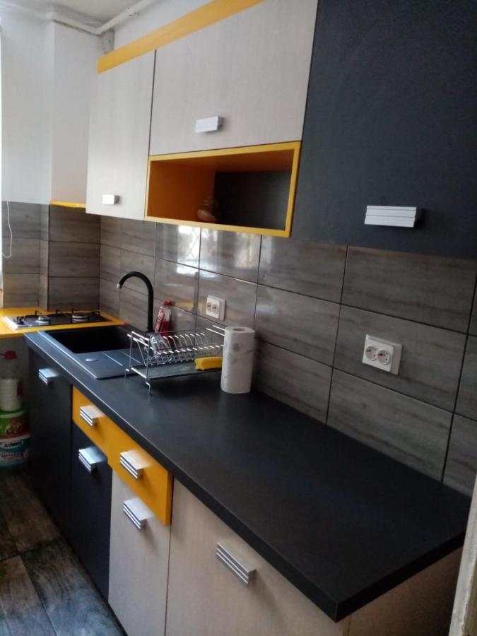 Apartament Mountain Loft Piatra Neamţ Zewnętrze zdjęcie